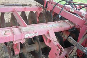 Frangizolle angeloni