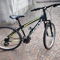 Bicicletta ragazzo Carnielli MTB 26