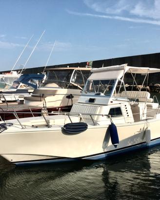 COSTA D'ARGENTO 740