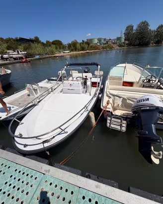 Boston Whaler Dauntless 15