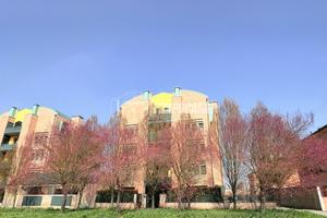 TRILOCALE ULTIMO PIANO CONBOX