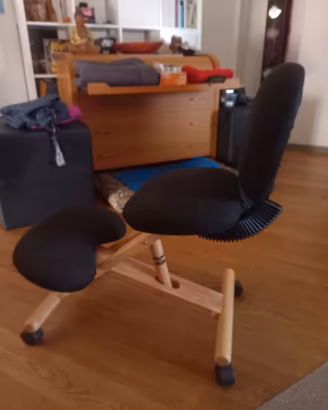 sedia ergonomica con schienale