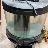 acquario Pesci 50 litri