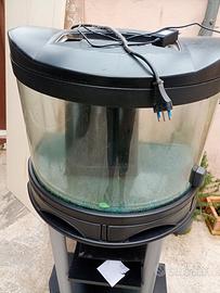 acquario Pesci 50 litri