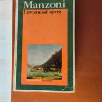 Promessi Sposi Alessandro Manzoni