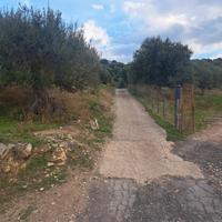 Terreno termini imerese