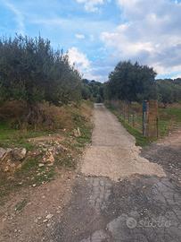 Terreno termini imerese