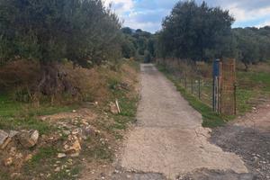 Terreno termini imerese