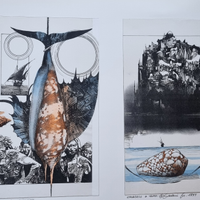 Sharaz de le mille e una notte- Gariani