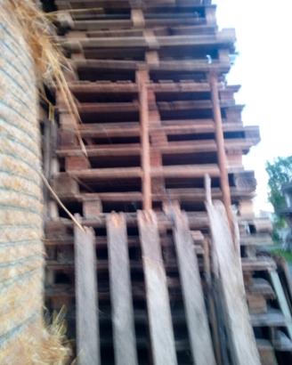 bancali 