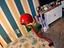 Immagine 5