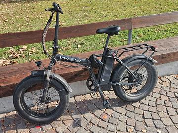 Fat Bike WIZY Eco