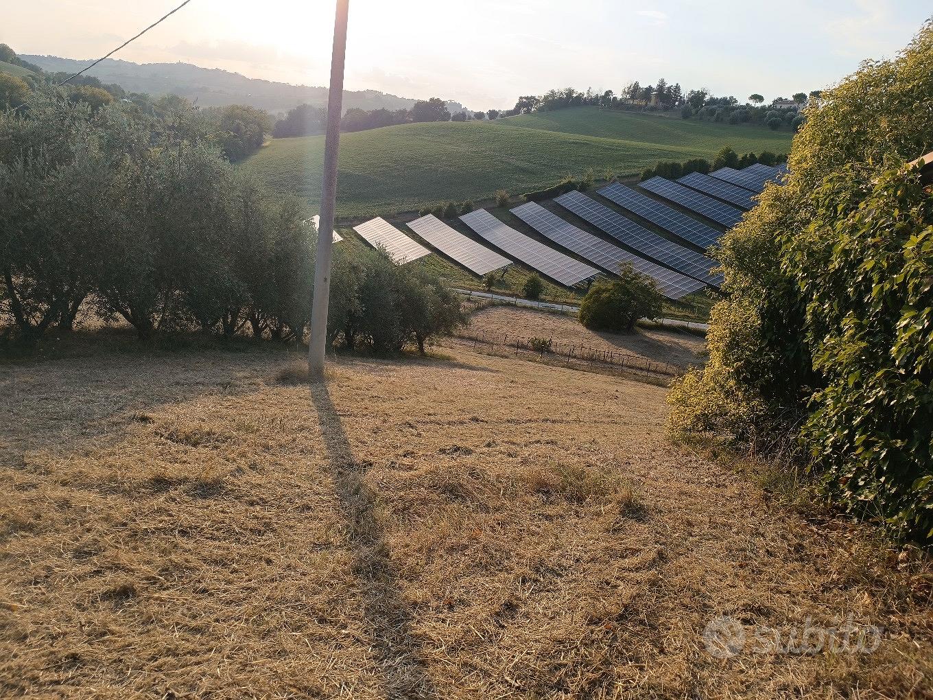 Terreno Agricolo Loc.Pacigliano - Vista 3