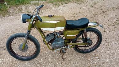 Cimatti da cross 1967