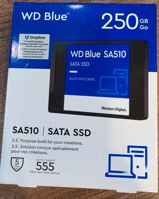 Hard Disk WD SSD da 250gb nuovi imballati da 2,5"
