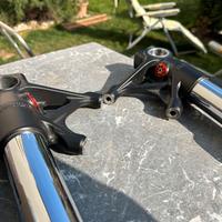 Forcelle showa Ducati Panigale