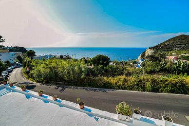 Stanze Isola di Ponza