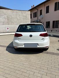 GOLF 1.6 TDI 110 cv cambio DSG,  per neopatentati