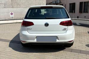 GOLF 1.6 TDI 110 cv cambio DSG,  per neopatentati