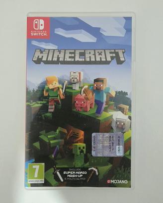 Minecraft Nintendo switch