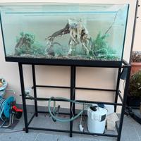 Acquario