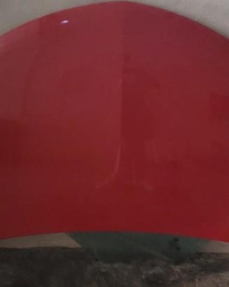 COFANO LANCIA Y ANNO 2019