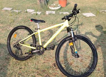 Bicicletta ragazzo 10-12 anni