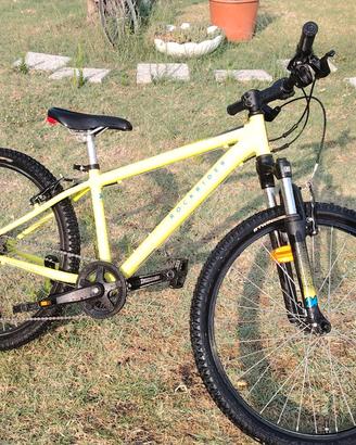 Bicicletta ragazzo 10-12 anni