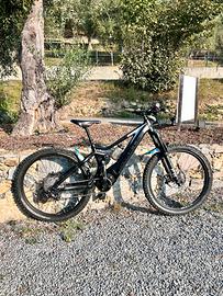 Bici elettrica mtb