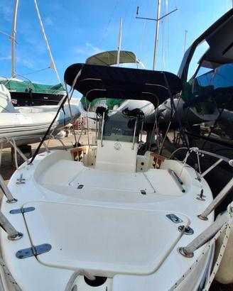 Capelli CAP 18 Open 5,50 m - Evinrude 115 CV
