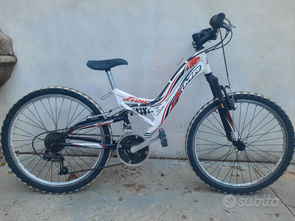 Bicycle Bici Elettrica Lion Bici Elettriche Batterie Ebike Su