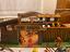 Immagine 4