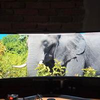 Monitor Curvo Super Ultrawide 49" SAMSUNG