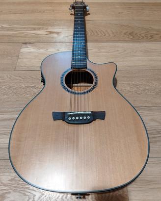 Chitarra acustica elettrificata