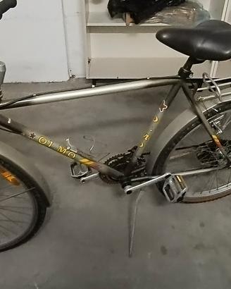 MTB olmo 