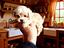 Immagine 22