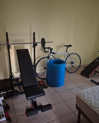 palestra
