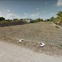 Flumini menta fiorita terreno edificabile