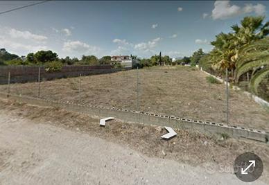 Flumini menta fiorita terreno edificabile