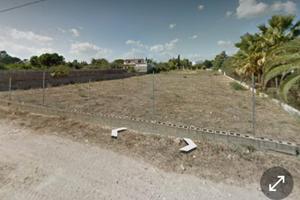 Flumini menta fiorita terreno edificabile