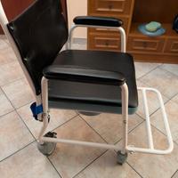 sedia a rotelle disabili