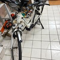 Bicicletta con pedalata assistita della Borsch