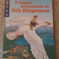 libro " Il viaggio meraviglioso di Nils Holgersson