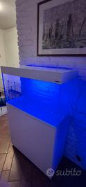 acquario