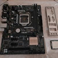 Coppia i5 7400 e Scheda Madre Asus