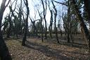 terreno-agricolo-legnano-cod-rif-3231496vrg-