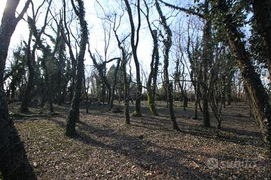 Terreno Agricolo Legnano [Cod. rif 3231496VRG]