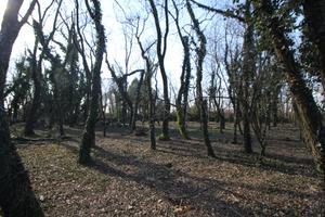 Terreno Agricolo Legnano [Cod. rif 3231496VRG]