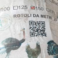 rete elettrosaldata zincata 60x75