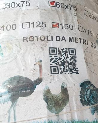 rete elettrosaldata zincata 60x75